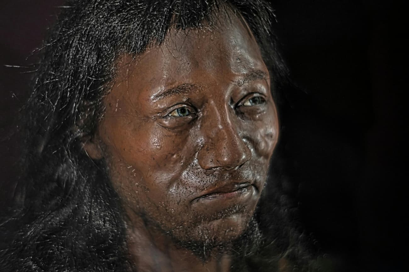 Figure 2: Latest Reconstruction of the Cheddar Man. The latest reconstruction of Cheddar Man, which highlights his dark skin and blue eyes, challenges the traditional depiction of prehistoric Europeans. Image by Werner Ustorf, licensed under CC BY-SA 2.0. Close-up image of the latest reconstruction of Cheddar Man, a prehistoric human with dark skin and blue eyes. The lifelike model emphasises the texture of his skin and hair, illustrating a significant revision of how ancient Europeans are perceived.